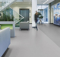 Forbo Marmoleum Decibel on Order 358235 earl grey chocolate фото 3 | FLOORDEALER